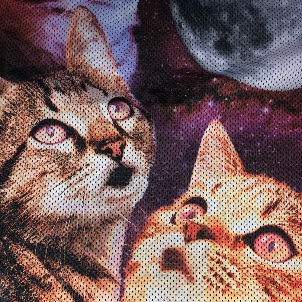 Amazing cat shirt